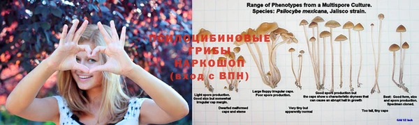 spice Михайлов