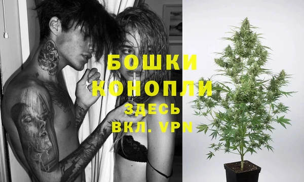 spice Михайлов