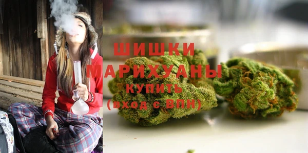 spice Михайлов