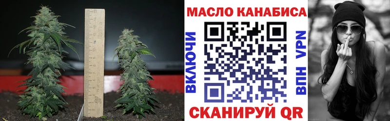 Купить где  Псков  Дистиллят ТГК вейп 